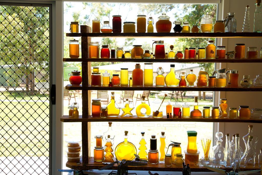 Honeybee Wellness Resort Kandanga Zewnętrze zdjęcie