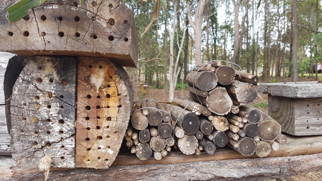 Honeybee Wellness Resort Kandanga Zewnętrze zdjęcie