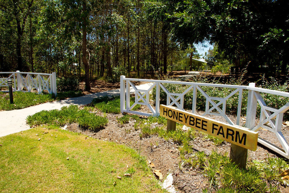 Honeybee Wellness Resort Kandanga Zewnętrze zdjęcie